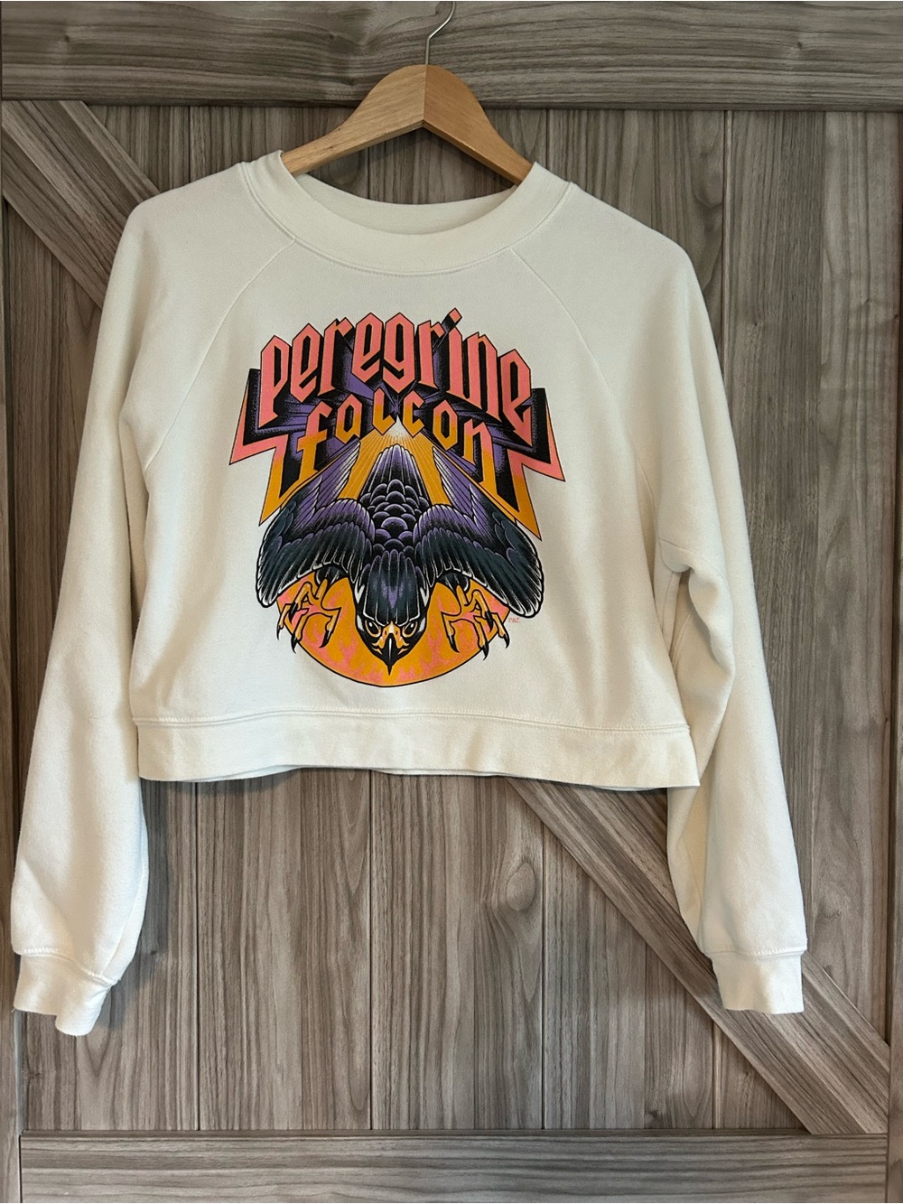 Story Bird NY Crop Peregrine Falcon Rock Graphic oversized Sweatshirt S